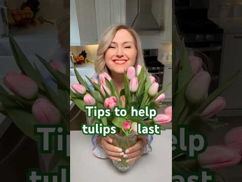 Discovering The Perfect Mothers Day Bouquet: Roses, Lilies, Or A Wonderful Blend? Level Nice Boro, Nj Florist